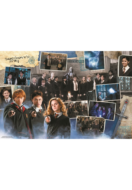 Trefl Puzzle Harry Potter 10v1