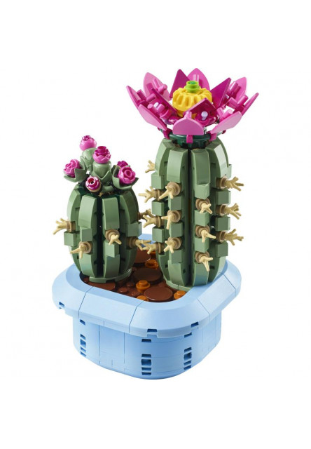 Kvitnúci kaktus