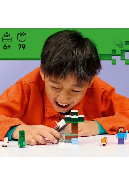 Steve a dobrodružstvo v tajge