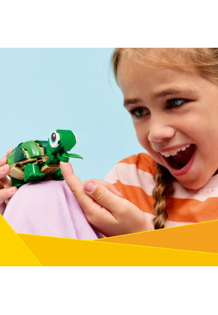 Korytnačka s leknom