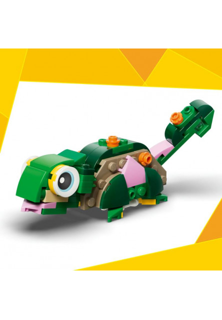 Korytnačka s leknom