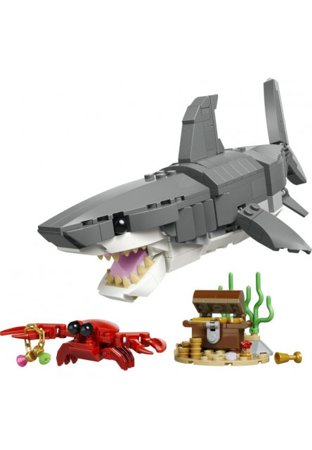 Divoký žralok a truhlica s pokladom