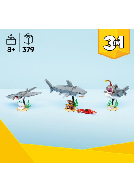 Divoký žralok a truhlica s pokladom