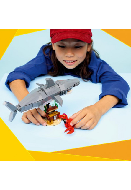 Divoký žralok a truhlica s pokladom