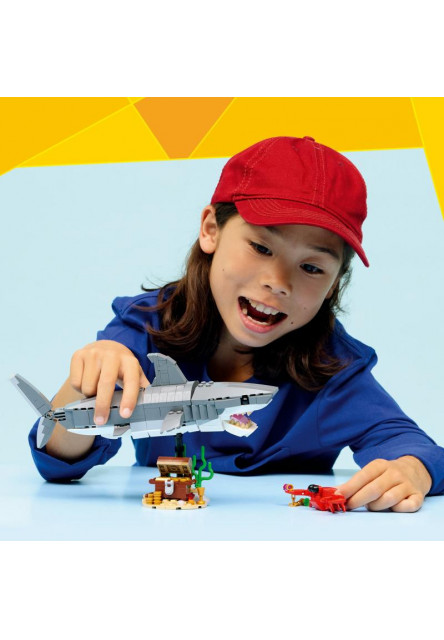 Divoký žralok a truhlica s pokladom