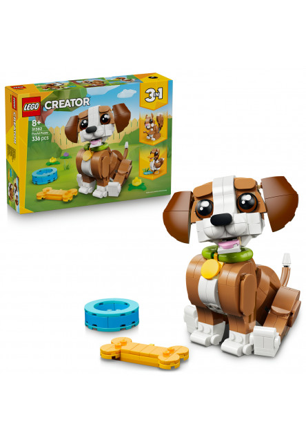 Roztomilé zvieratká: Hravé šteniatko