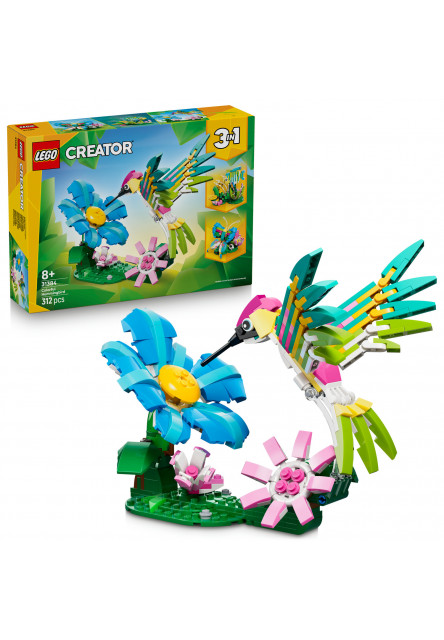 Divoké zvieratá: Farebný kolibrík