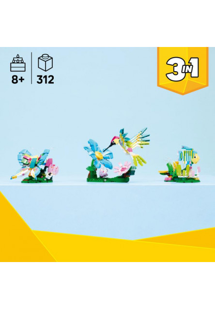 Divoké zvieratá: Farebný kolibrík