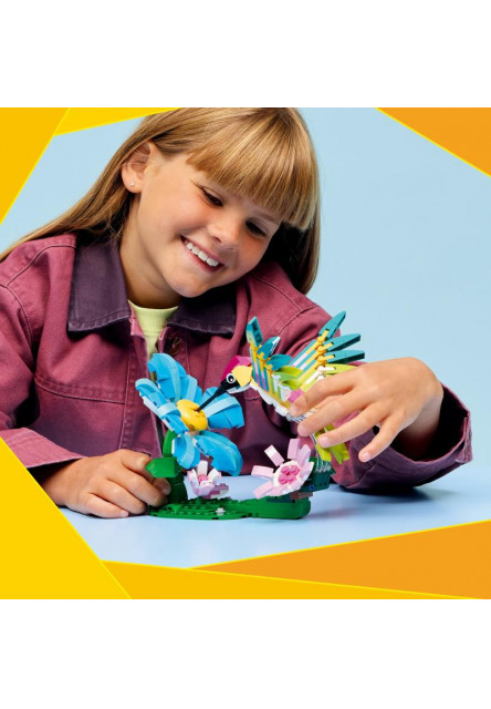 Divoké zvieratá: Farebný kolibrík