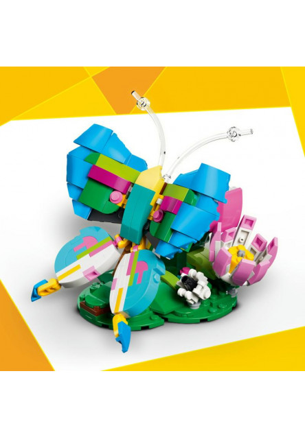 Divoké zvieratá: Farebný kolibrík