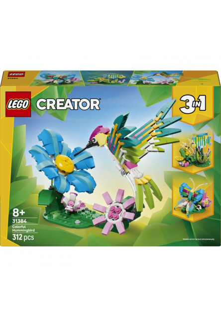 Divoké zvieratá: Farebný kolibrík