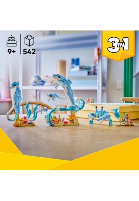 Morské živočíchy: Krásne delfíny