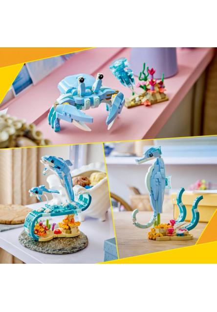 Morské živočíchy: Krásne delfíny