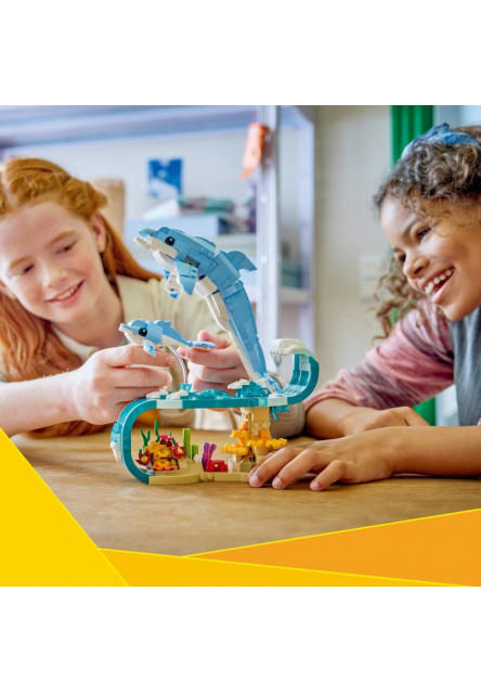 Morské živočíchy: Krásne delfíny