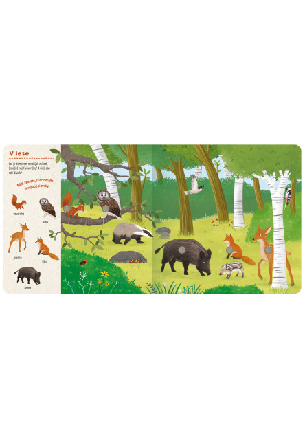 Hľadaj a počúvaj Zvieratá