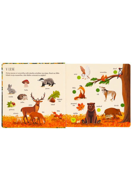 Veľká obrázková kniha - Zvuky zvierat