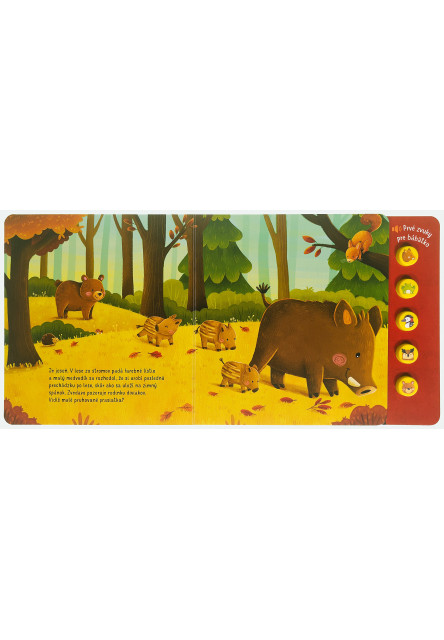 Čo počuješ v lese? Prvé zvuky pre bábätko