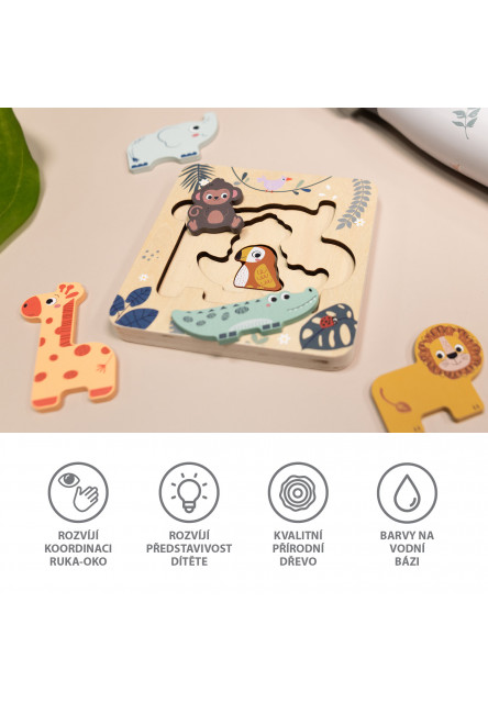 Dřevěné puzzle hlavolam, Wood