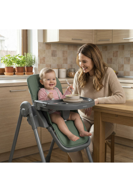 Jídelná stolička Primo, District Green