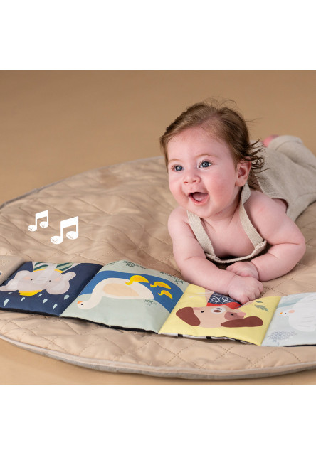 Knížka pro nejmenší se zvuky