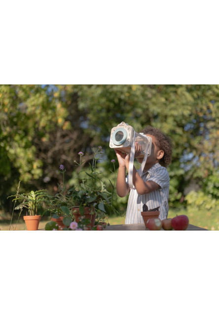 Box na prohlížení hmyzu dřevěný Forest Friends