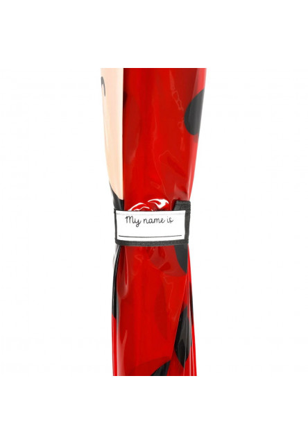 Detský dáždnik Legami kid’s umbrella - dancin' in the rain ladybug - Lienka