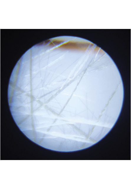 Happy Garden Mikroskop