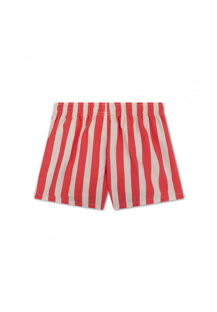 Pánské plavecké šortky s UPF 50+ Lobster Stripe