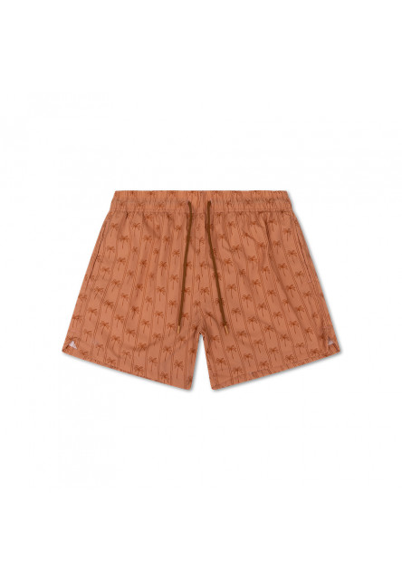 Pánské plavecké šortky s UPF 50+ Palm Stripe