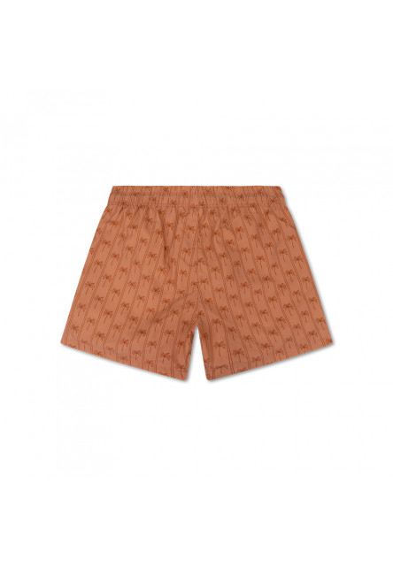 Pánské plavecké šortky s UPF 50+ Palm Stripe