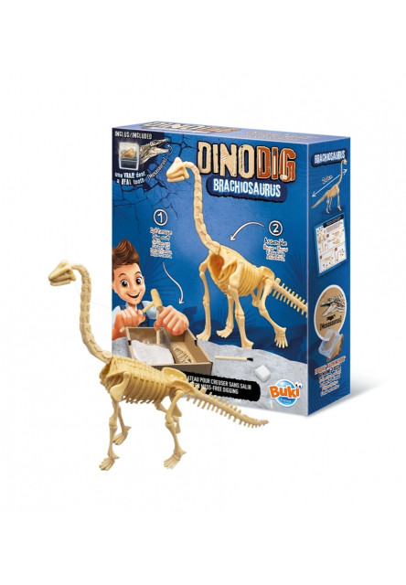 Dinodig vykopávka a kostra Brachiosaurus