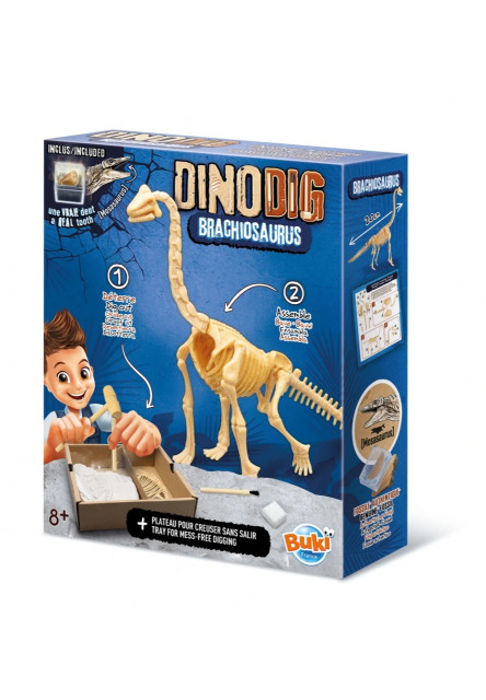 Dinodig vykopávka a kostra Brachiosaurus