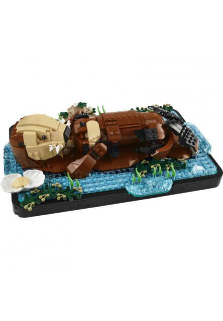 Plávajúce morské vydry