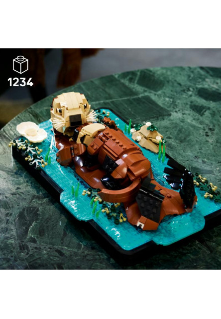 Plávajúce morské vydry