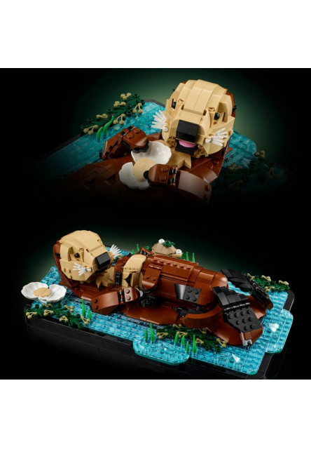 Plávajúce morské vydry