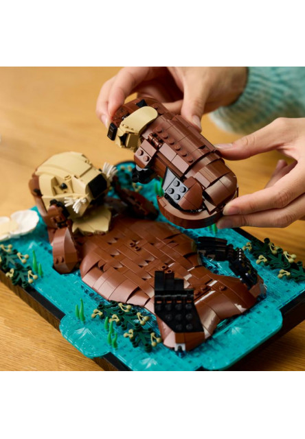 Plávajúce morské vydry