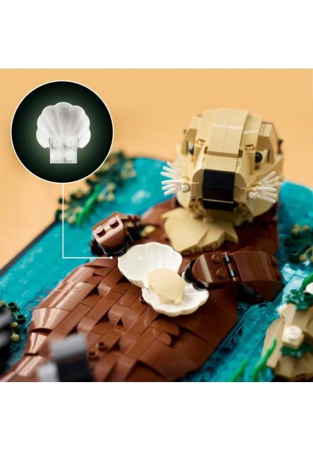 Plávajúce morské vydry