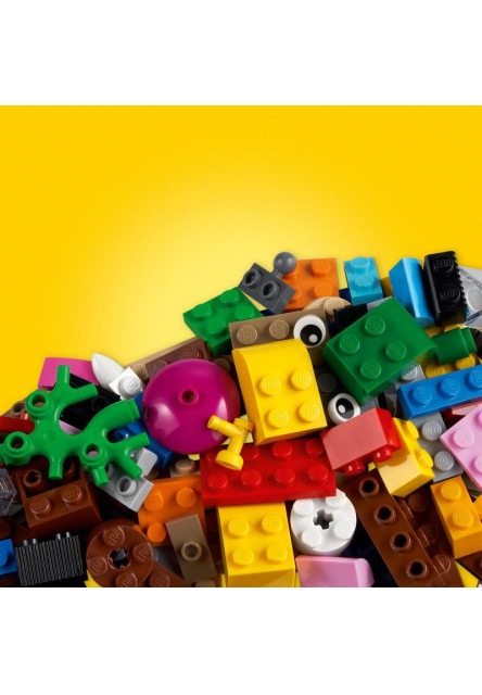 Kreatívna zábava v oceáne