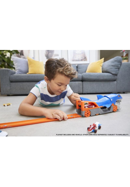 Hot Wheels šampionát dráha asst