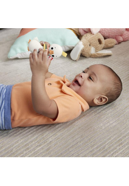 Fisher Price hrkálka/hryzátka asst 