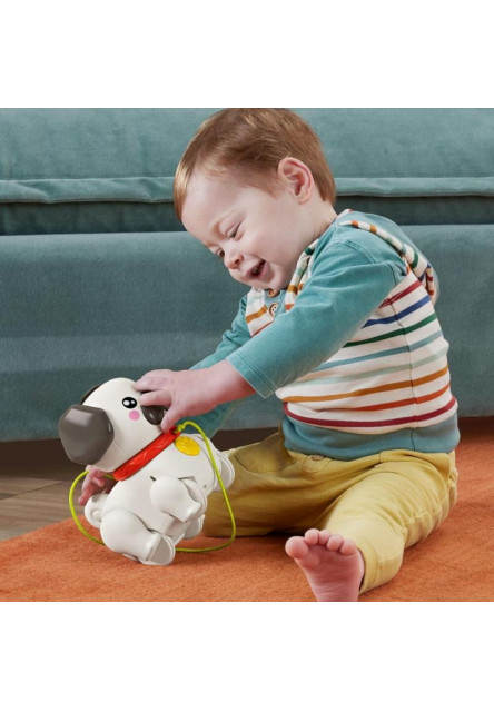 Fisher Price chodiaci Mopslík 