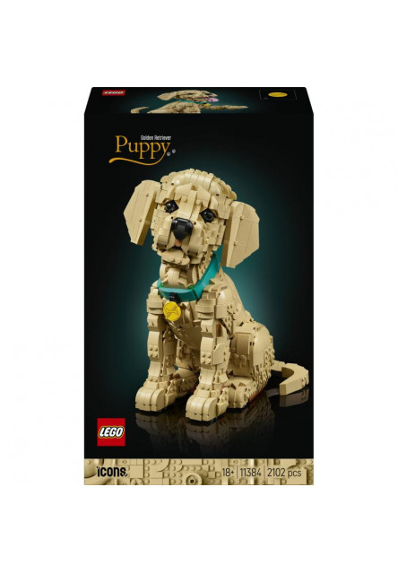 Šteňa zlatého retrievera