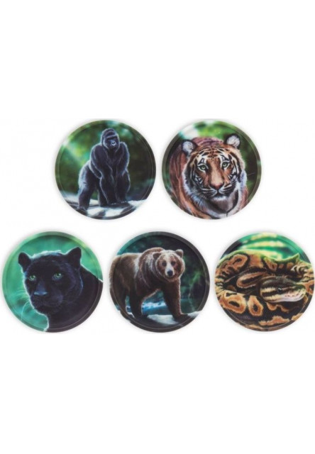 Sada ozdôb na batoh Ergobag Kletties Set - Jungle