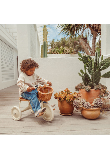 Banwood trojkolka (Blue)