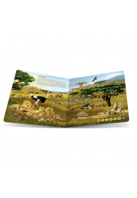 Tolki Pen + Animal Kingdom