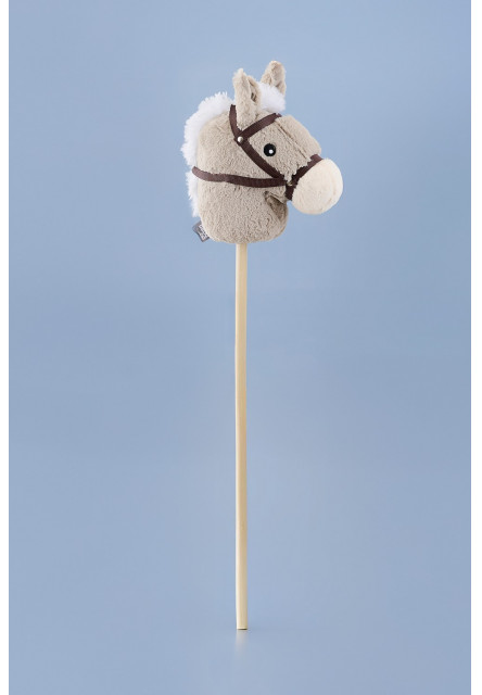 Hobby horse
