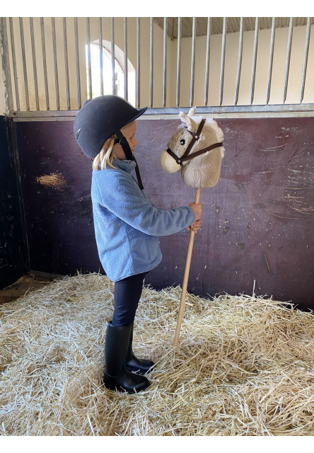 Hobby horse