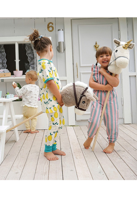 Hobby horse