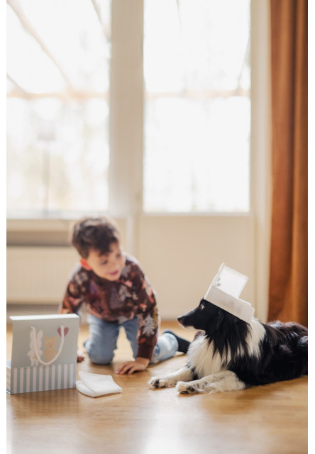 Set pro Veterináře