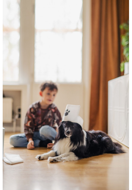 Set pro Veterináře